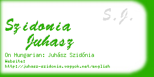 szidonia juhasz business card