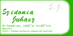 szidonia juhasz business card